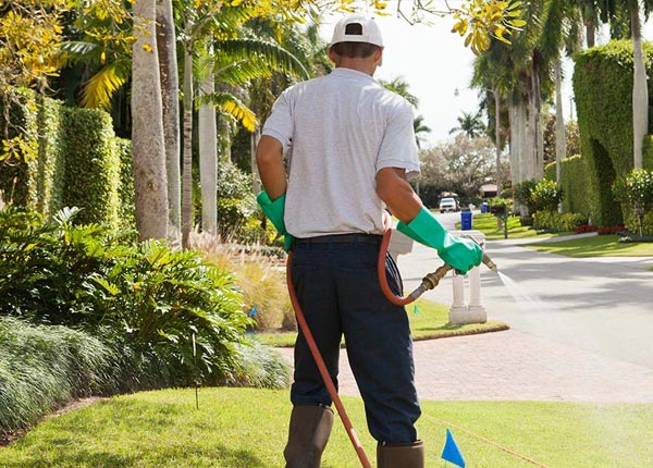 About Hostetter PA Pest Control